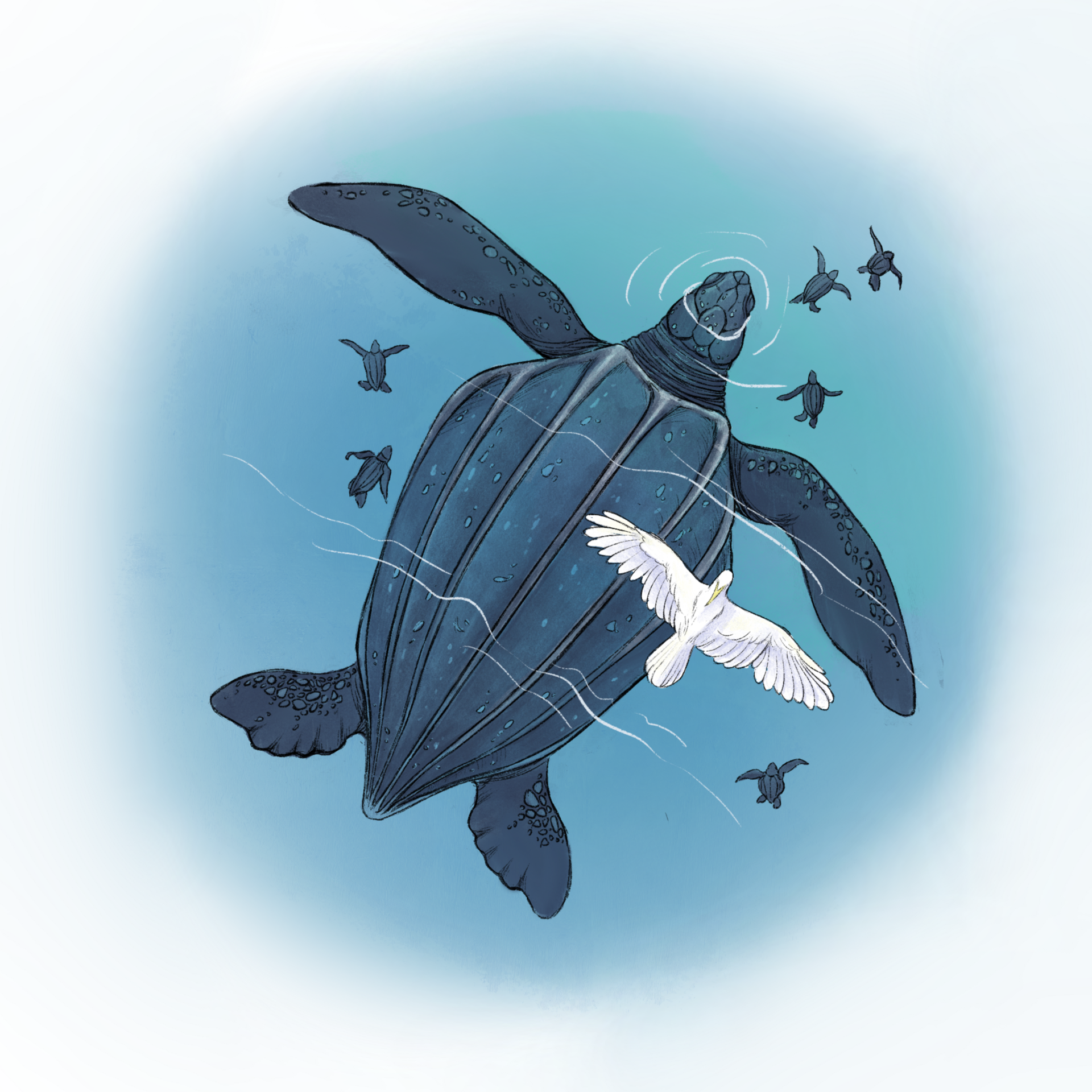 Lederschildkröte